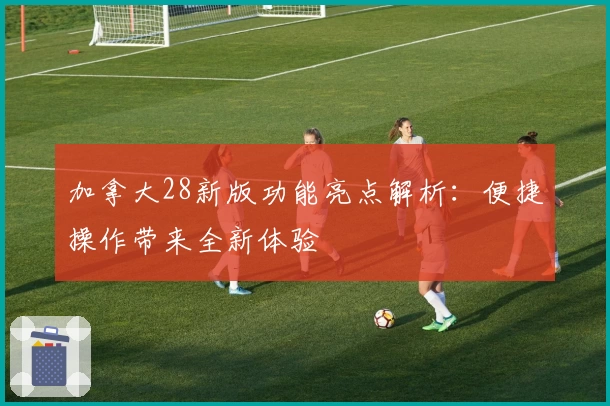 加拿大28新版功能亮点解析：便捷操作带来全新体验