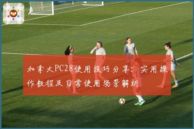 加拿大PC28使用技巧分享：实用操作教程及日常使用场景解析