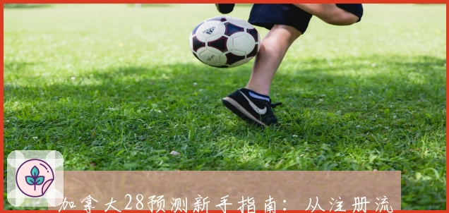 加拿大28预测新手指南：从注册流程到实用技巧全面解析