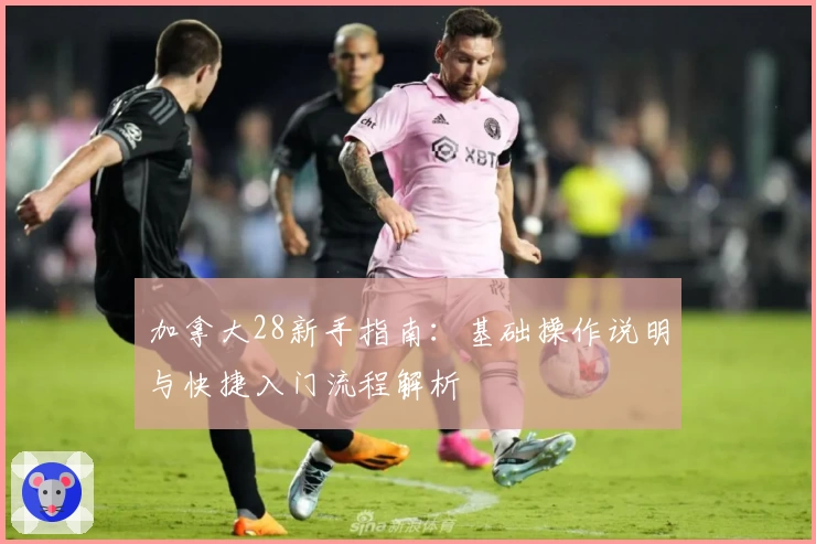 加拿大28新手指南：基础操作说明与快捷入门流程解析