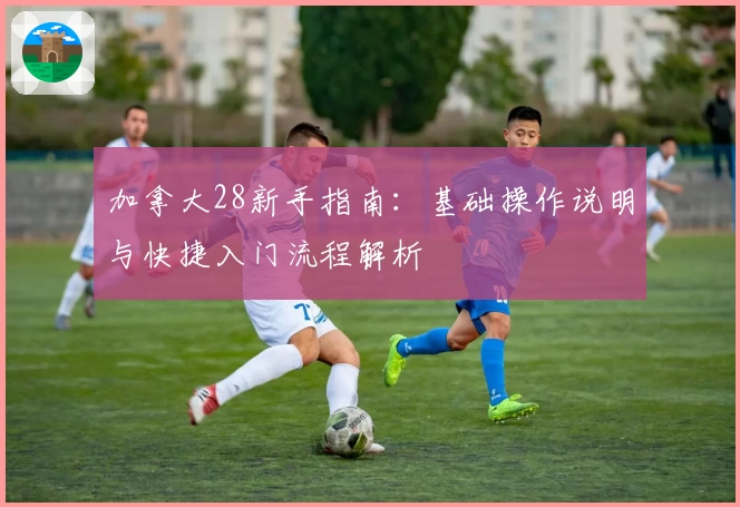 加拿大28新手指南：基础操作说明与快捷入门流程解析