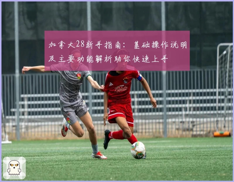 加拿大28新手指南：基础操作说明及主要功能解析助你快速上手