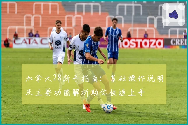 加拿大28新手指南：基础操作说明及主要功能解析助你快速上手