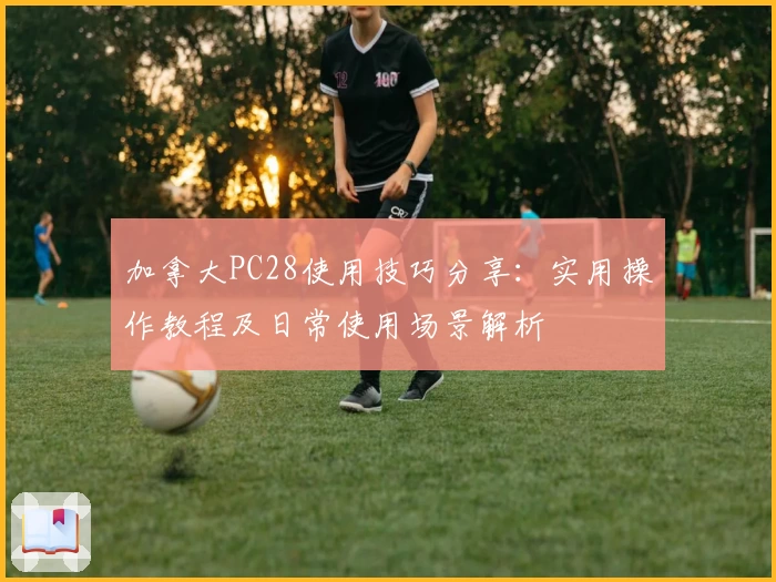 加拿大PC28使用技巧分享：实用操作教程及日常使用场景解析