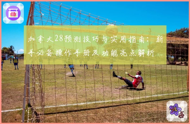 加拿大28预测技巧与实用指南：新手必备操作手册及功能亮点解析