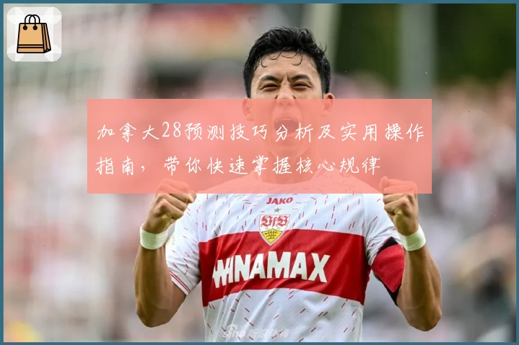 加拿大28预测技巧分析及实用操作指南，带你快速掌握核心规律